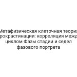 Метафизическая клеточная теория прокрастинации: корреляция между циклом Фазы стадии и седел фазового портрета